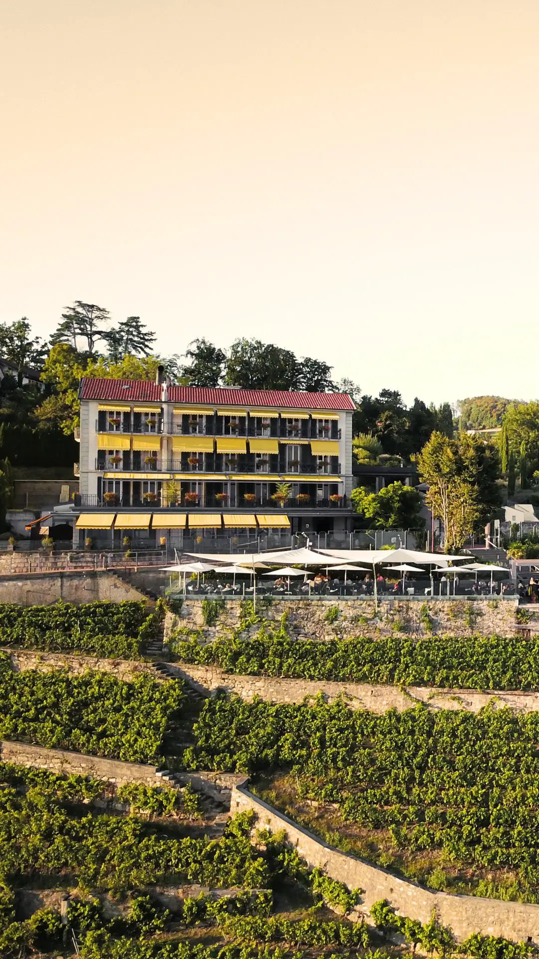 Le Baron Tavernier above Lake Geneva — general gift voucher